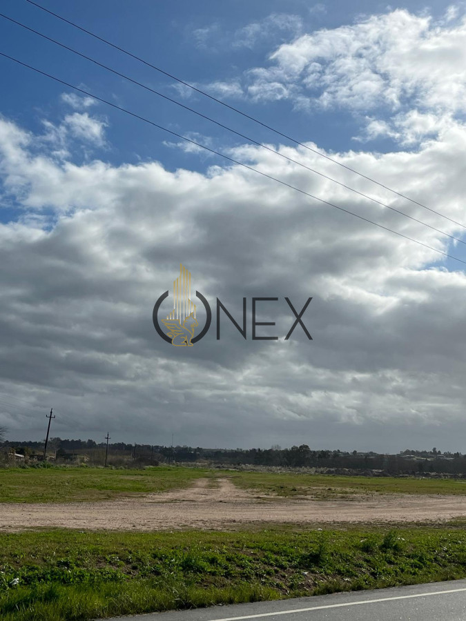 Terreno ID.1274 - SE VENDE TERRENO DE 16 HÁS ZONA BARRIOS PRIVADOS CANELONES 