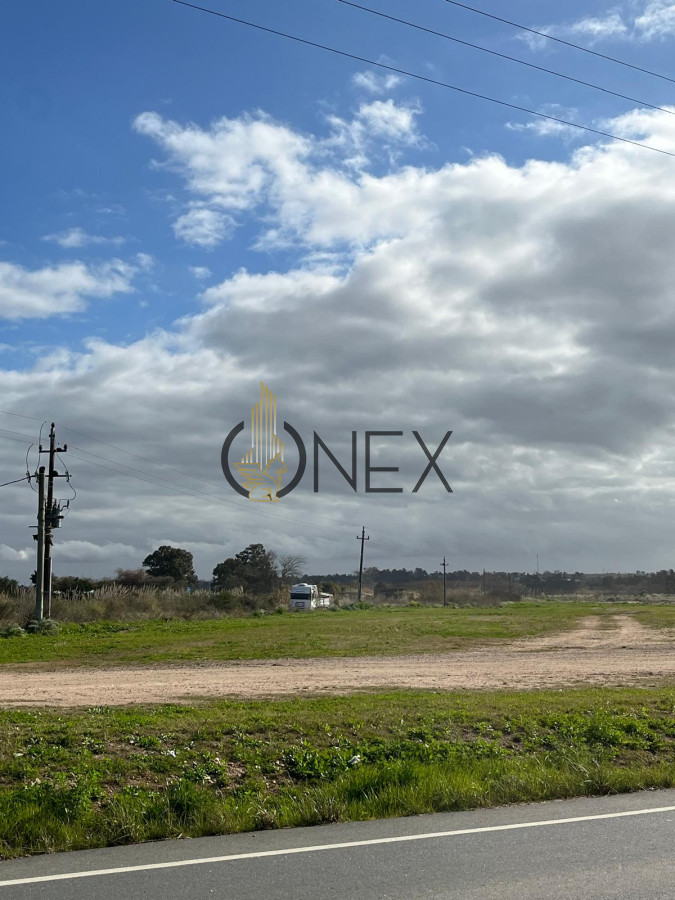 Terreno ID.1274 - SE VENDE TERRENO DE 16 HÁS ZONA BARRIOS PRIVADOS CANELONES 