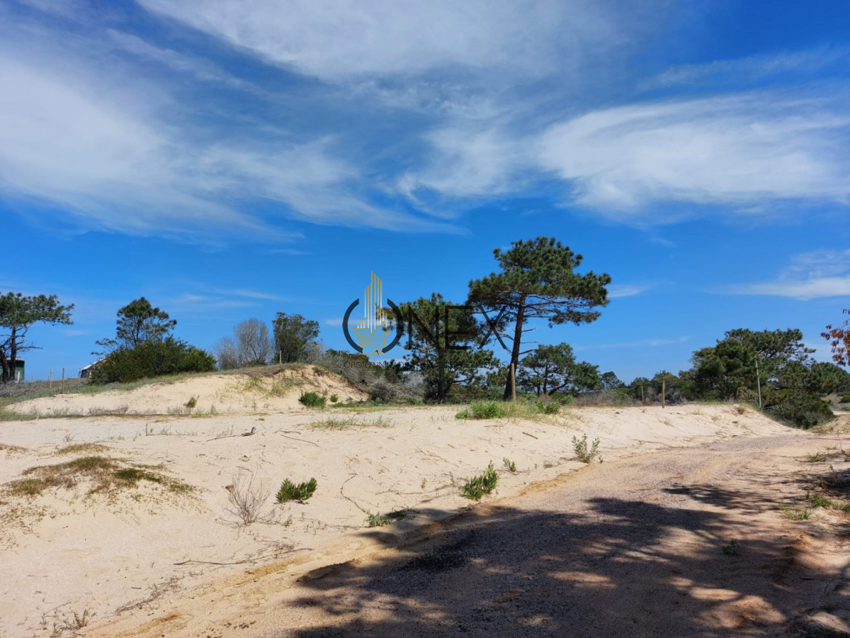 Terreno ID.3582 - Espectacular terrenos 