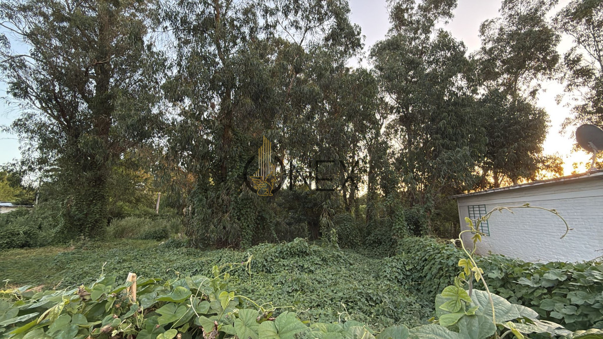 Terreno ID.1498 - Venta de terreno 
