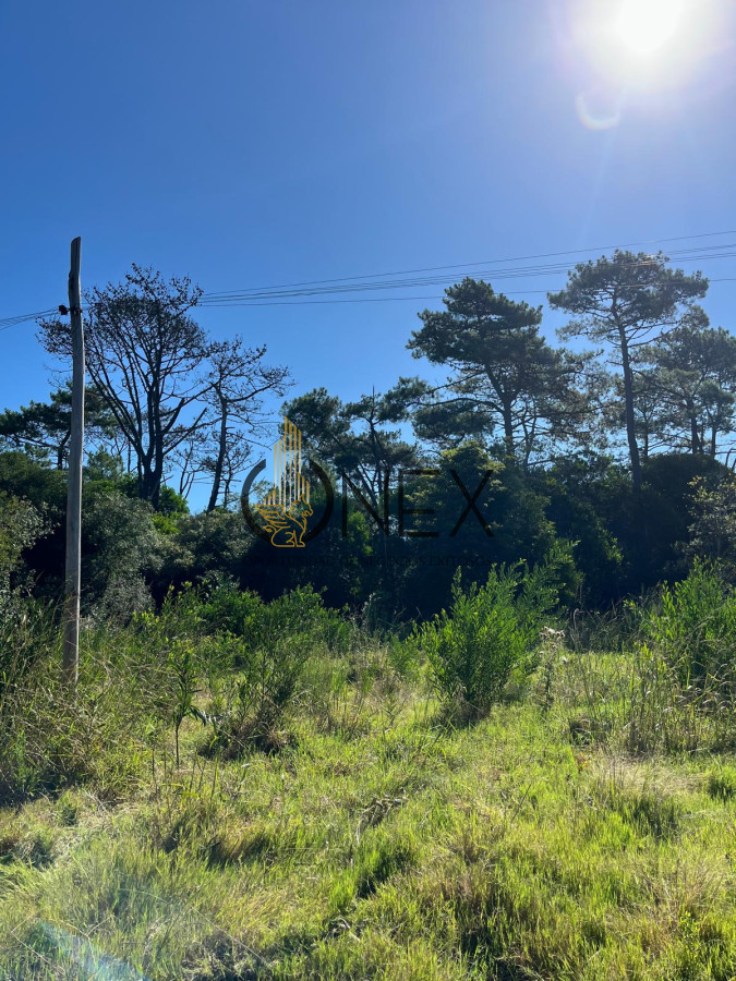 Terreno ID.1693 - SE VENDE TERRENO EN OCEAN PARK