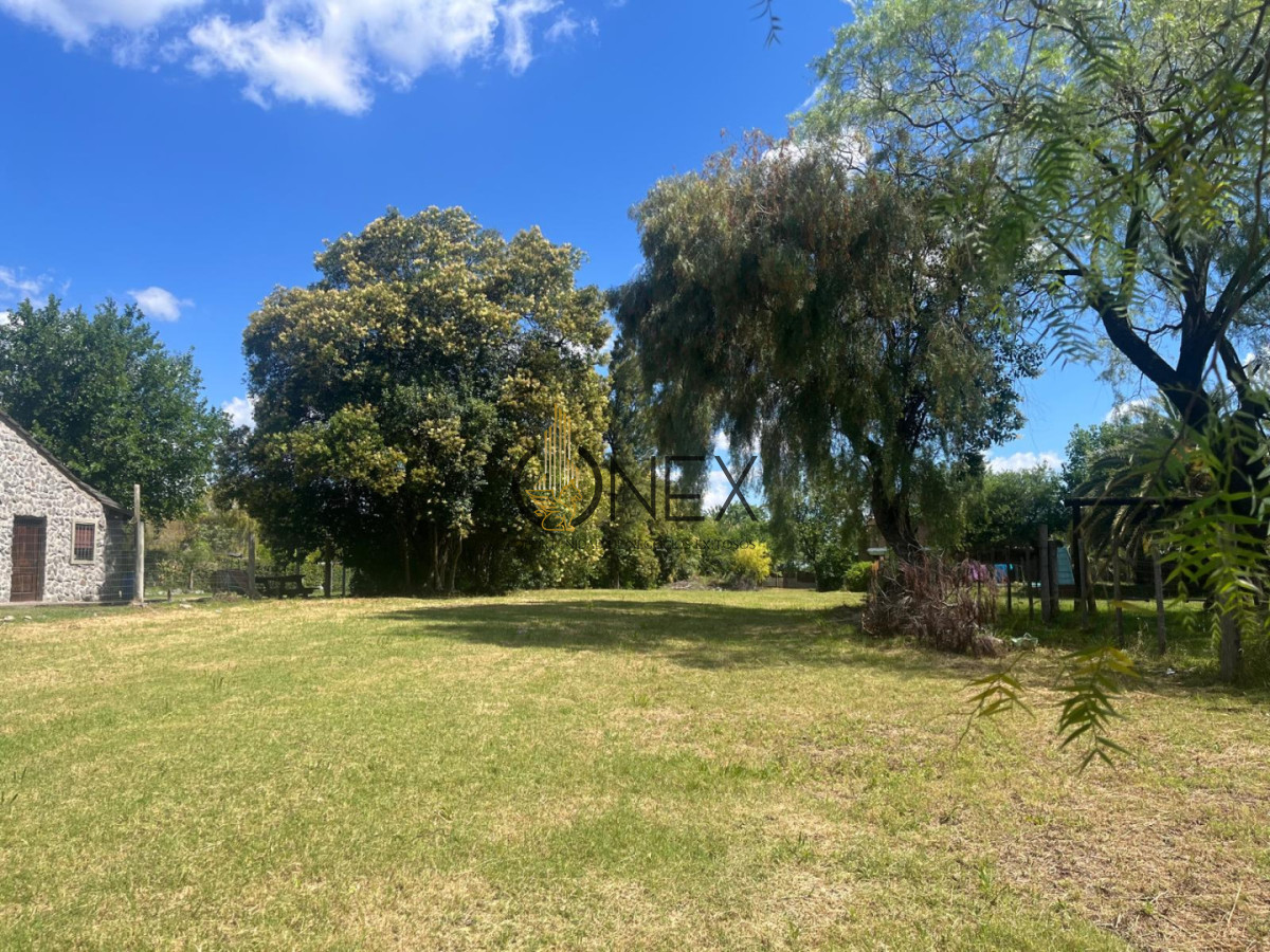 Terreno ID.3742 - ¡Invierte en tu futuro! Terreno en venta con gran potencial.