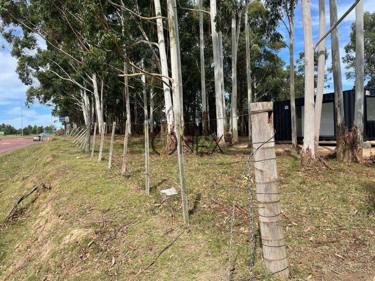 Terreno ID.2086 - Venta de lotes espectaculares en Jrdines Del Diario sobre Avenida Lusich 