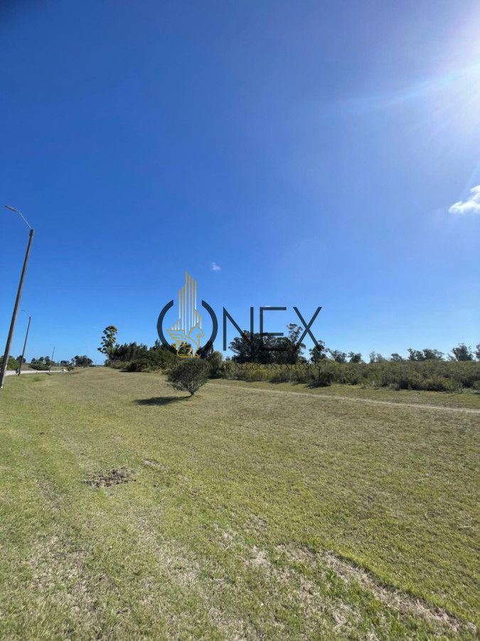 Terreno ID.4308 - Venta de 4 Terrenos ruta 39. Maldonado