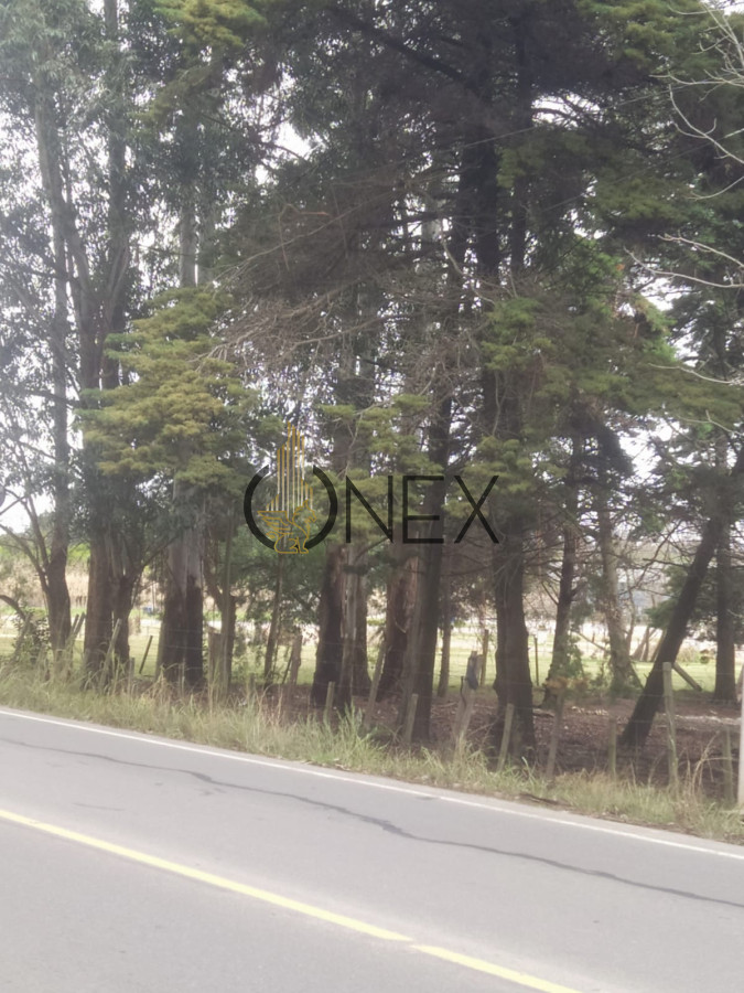 Terreno ID.2728 - Terreno En Venta Ultimo Lote próximo a Car One