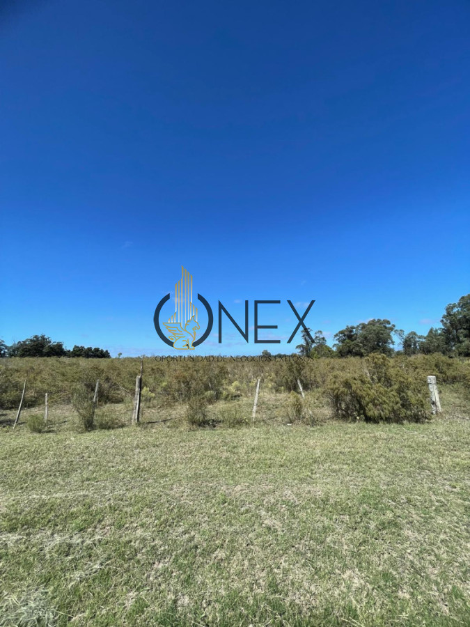 Terreno ID.4308 - Venta de 4 Terrenos ruta 39. Maldonado