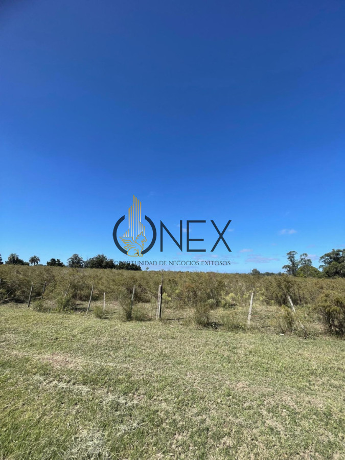 Terreno ID.4308 - Venta de 4 Terrenos ruta 39. Maldonado