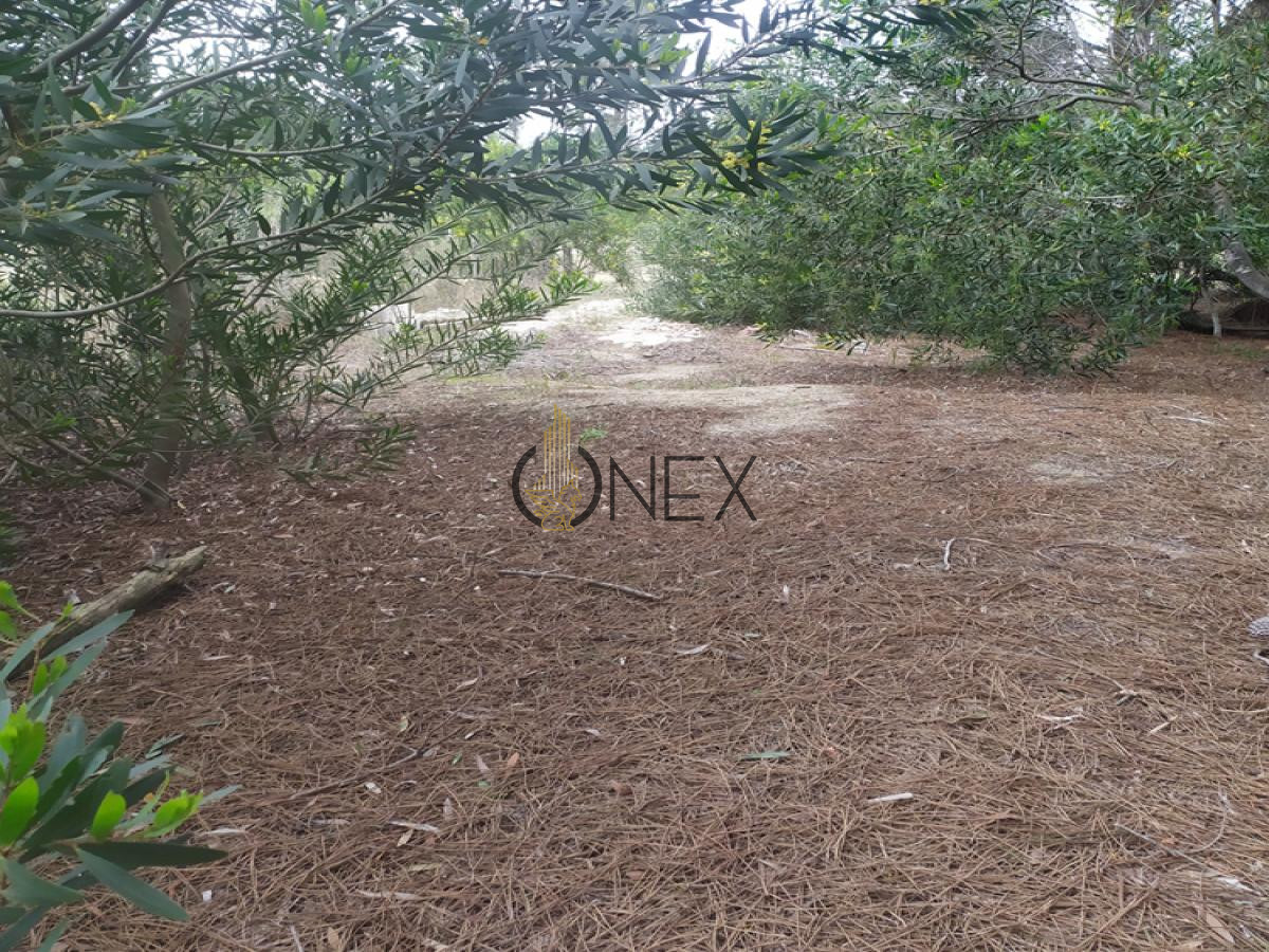 Terreno ID.733 - VENDO TERRENO GRANDE CON CABAÑA GUAZUVIRÁ