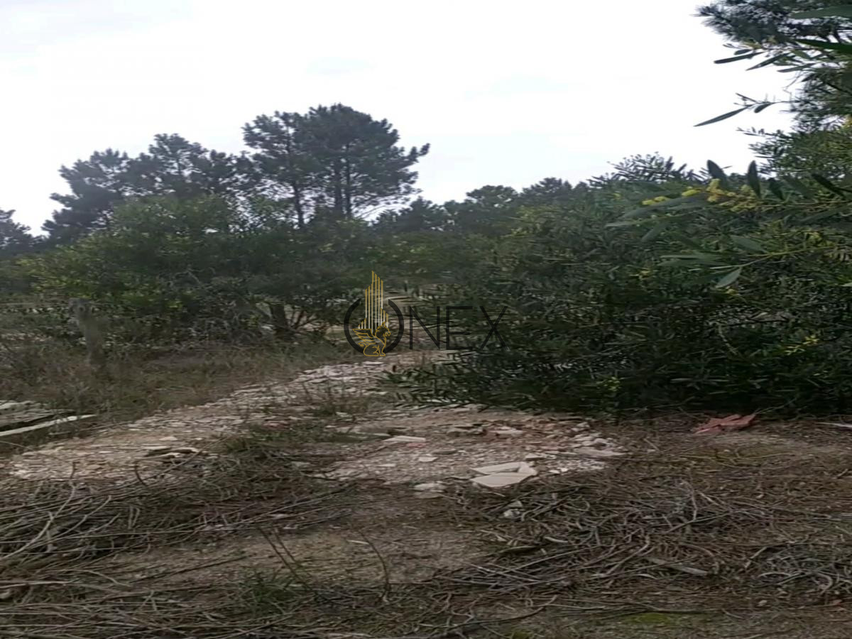 Terreno ID.733 - VENDO TERRENO GRANDE CON CABAÑA GUAZUVIRÁ