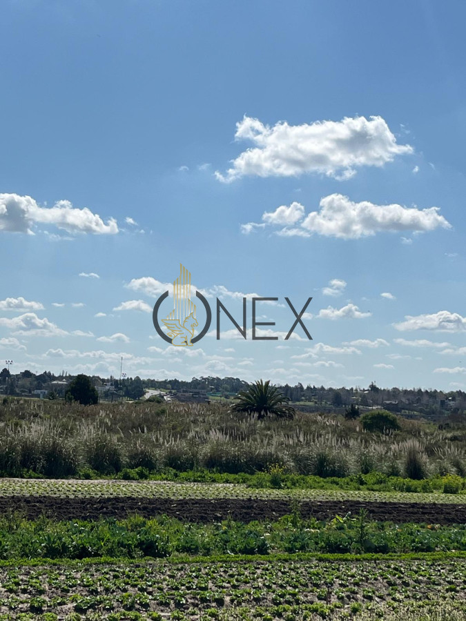 Terreno ID.1273 - SE VENDE TERRENO BARRIOS PRIVADOS CANELONES. A METROS CAMINO DE LOS HORNEROS 