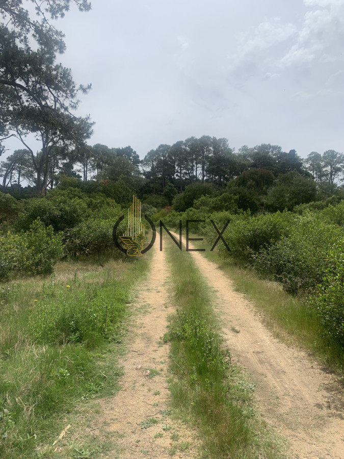 Terreno ID.1402 - Venta de Hermoso Terreno