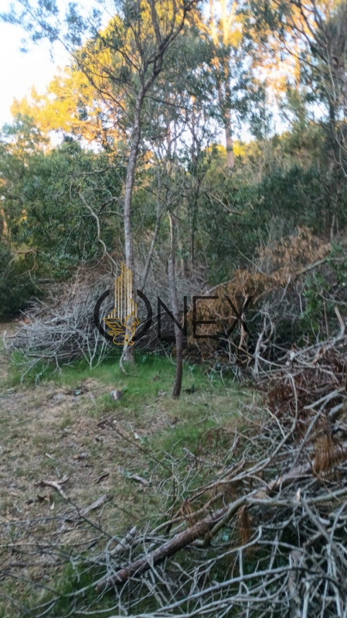 Terreno ID.3313 - Terreno en La Esmeralda Rocha 