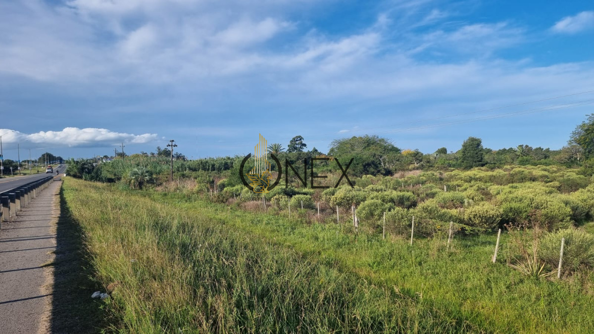 Terreno ID.2029 - Vendo terreno sobre Ruta 9, Rocha.