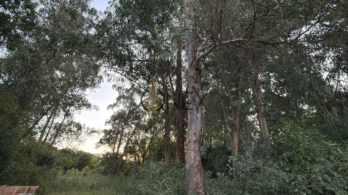 Terreno ID.1497 - Venta de Terreno en San Luis 