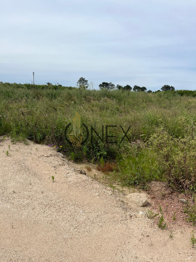 Terreno ID.1551 - SE VENDE TERRENO EN NEPTUNIA SUR