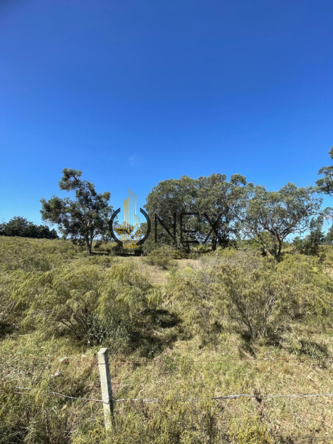 Terreno ID.4308 - Venta de 4 Terrenos ruta 39. Maldonado