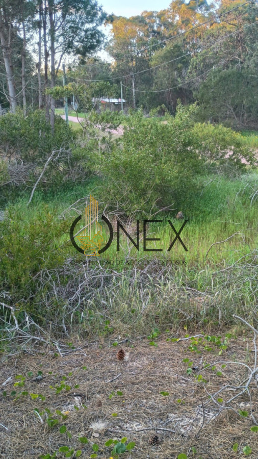 Terreno ID.3313 - Terreno en La Esmeralda Rocha 