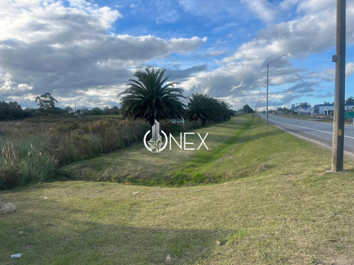 Terreno ID.4555 - Terreno en venta sobre ruta 9 ,Rocha. Excelente oportunidad de inversión en ubicación estratégica.