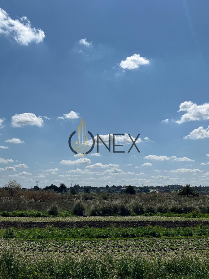 Terreno ID.1273 - SE VENDE TERRENO BARRIOS PRIVADOS CANELONES. A METROS CAMINO DE LOS HORNEROS 