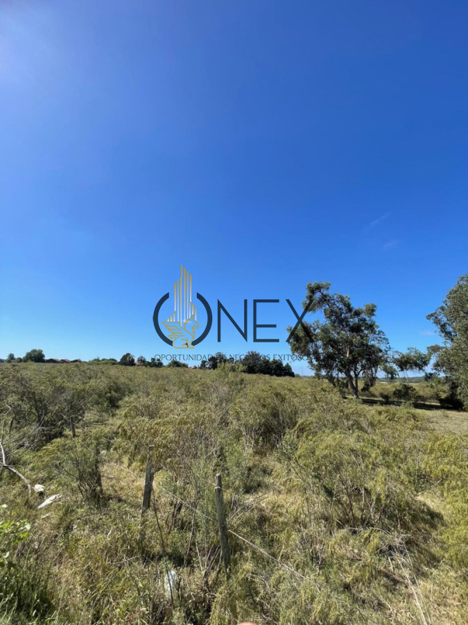 Terreno ID.4308 - Venta de 4 Terrenos ruta 39. Maldonado