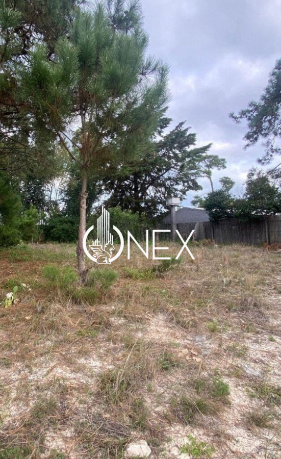 Terreno ID.4458 - Terreno Amplio en El Pinar