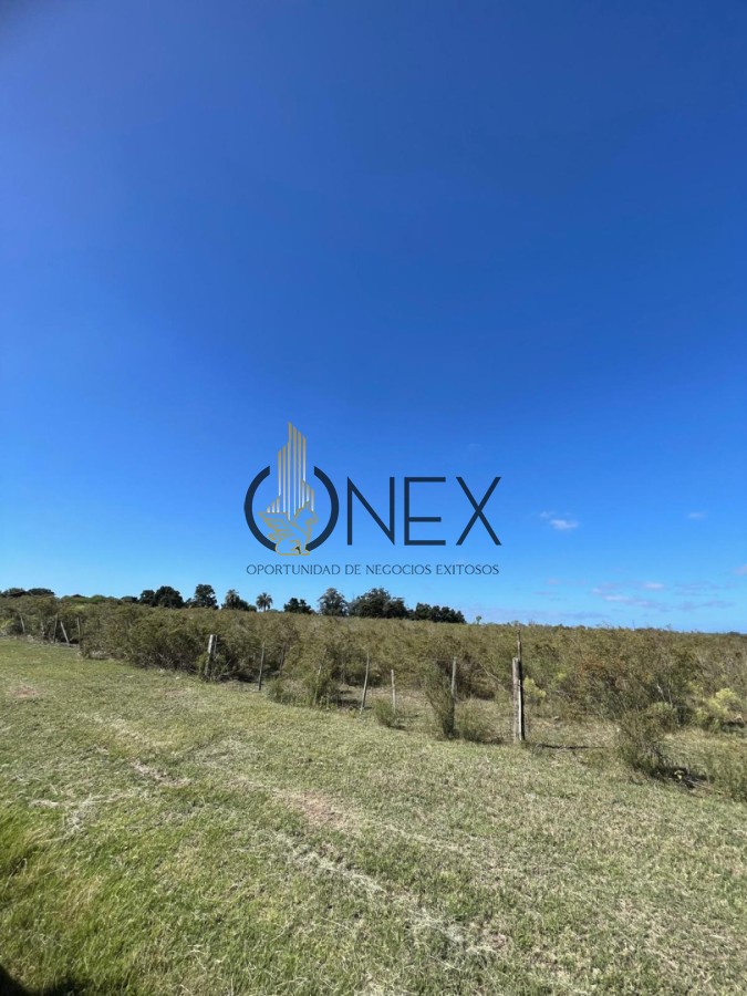 Terreno ID.4308 - Venta de 4 Terrenos ruta 39. Maldonado