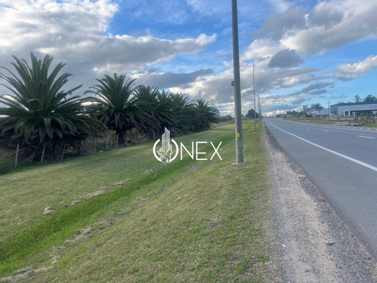 Terreno ID.4555 - Terreno en venta sobre ruta 9 ,Rocha. Excelente oportunidad de inversión en ubicación estratégica.