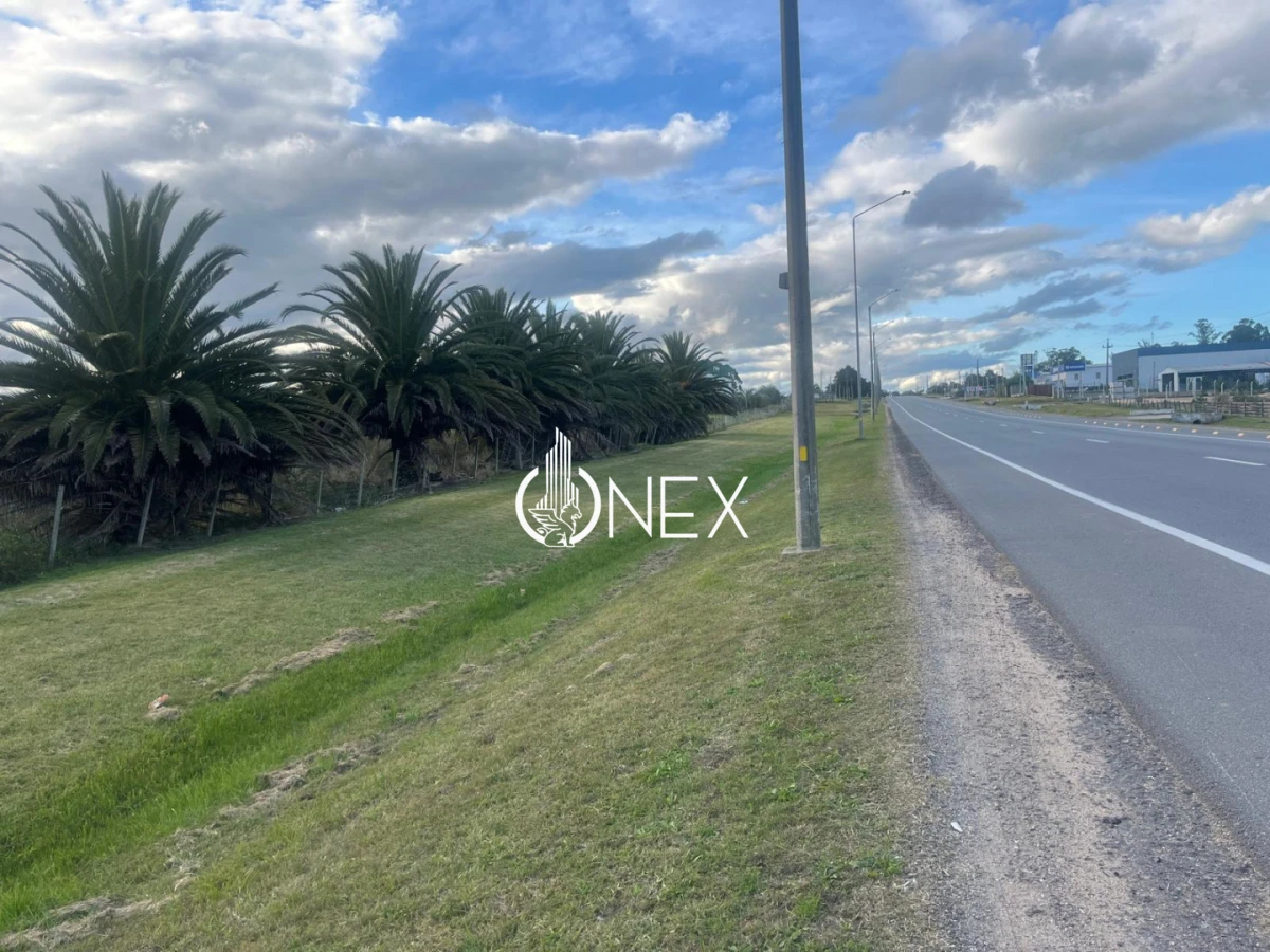 Terreno ID.4555 - Terreno en venta sobre ruta 9 ,Rocha. Excelente oportunidad de inversión en ubicación estratégica.