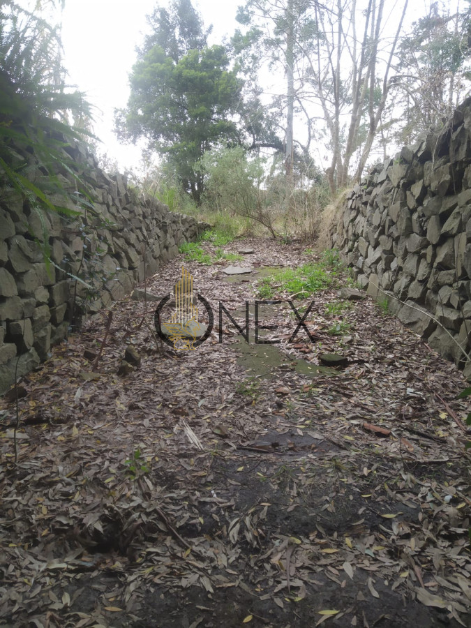 Terreno ID.2728 - Terreno En Venta Ultimo Lote próximo a Car One