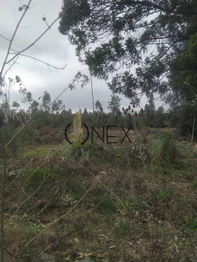 Terreno ID.2728 - Terreno En Venta Ultimo Lote próximo a Car One