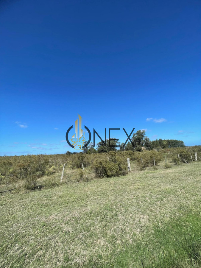 Terreno ID.4308 - Venta de 4 Terrenos ruta 39. Maldonado
