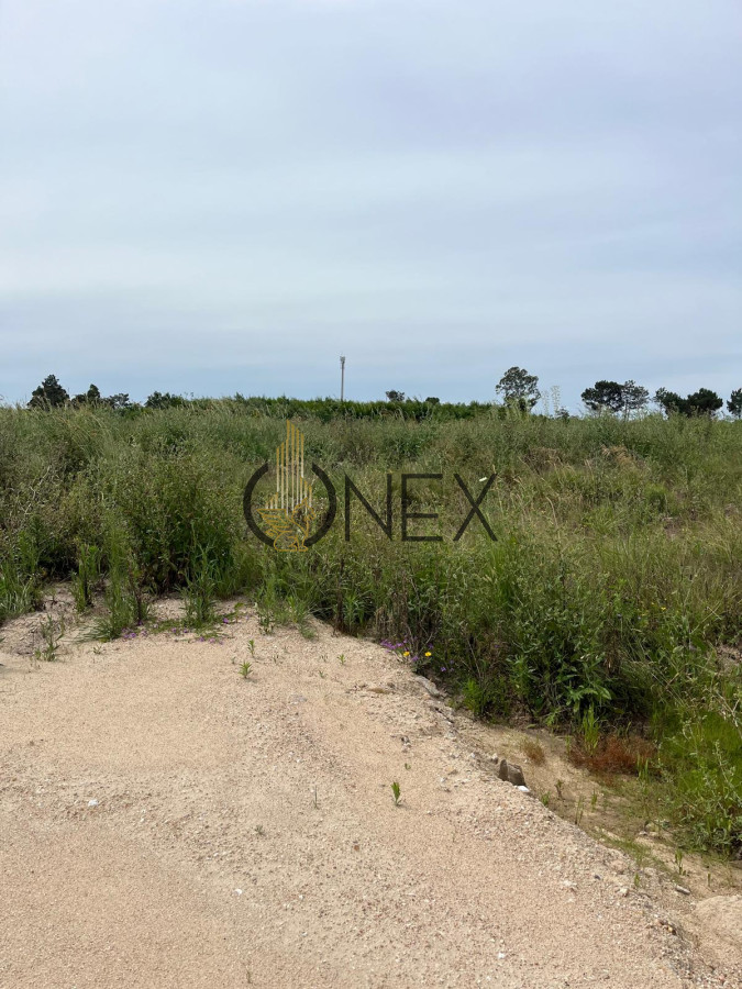 Terreno ID.1551 - SE VENDE TERRENO EN NEPTUNIA SUR