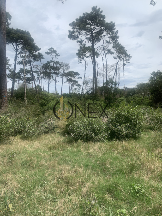 Terreno ID.1402 - Venta de Hermoso Terreno