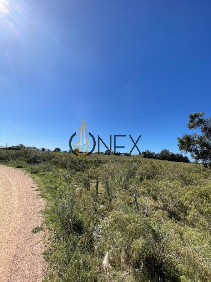 Terreno ID.4308 - Venta de 4 Terrenos ruta 39. Maldonado