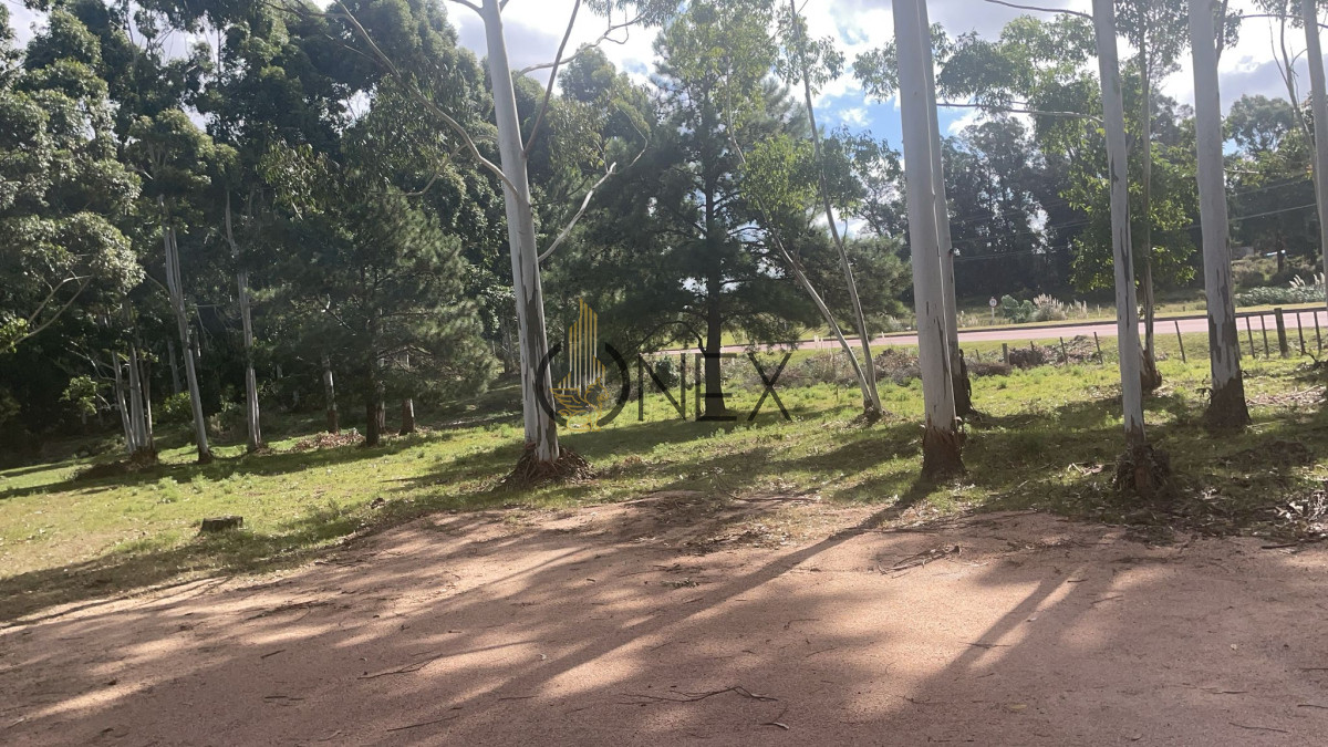 Terreno ID.2086 - Venta de lotes espectaculares en Jrdines Del Diario sobre Avenida Lusich 