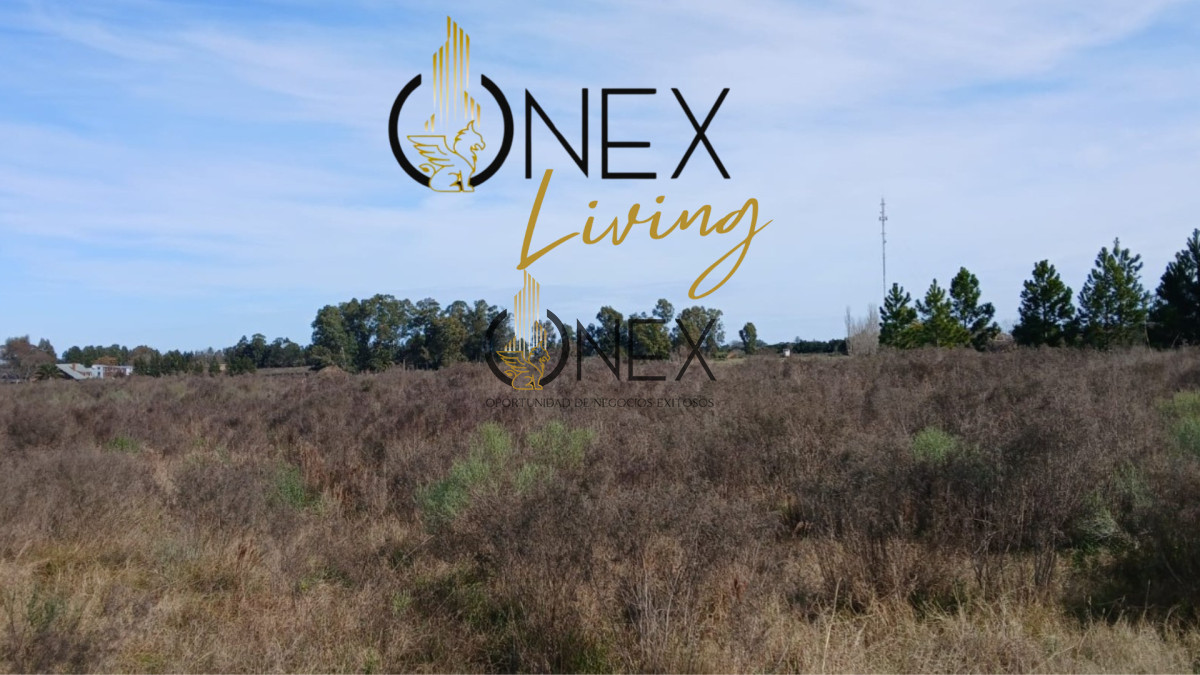 Terreno ID.3766 - VENTA TERRENO, COLONIA VALDENSE