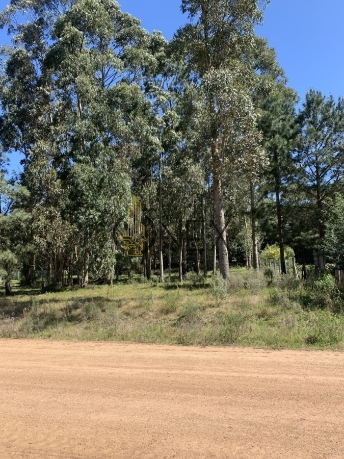 Terreno ID.1259 - Terreno en Venta Maldonado