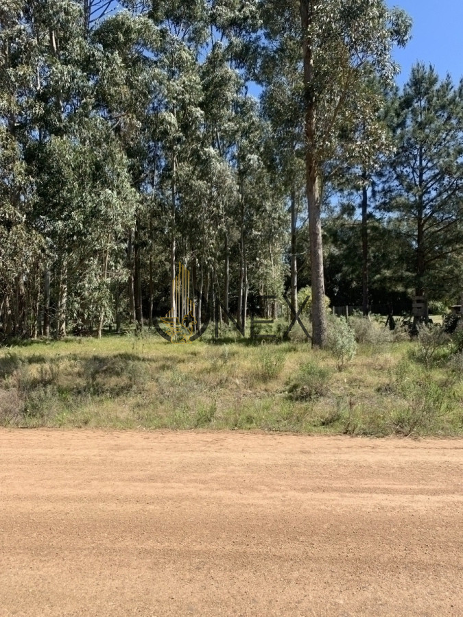 Terreno ID.1259 - Terreno en Venta Maldonado