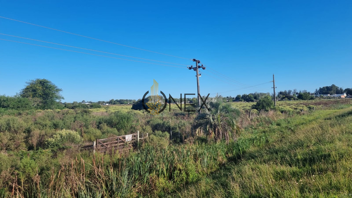 Terreno ID.2029 - Vendo terreno sobre Ruta 9, Rocha.