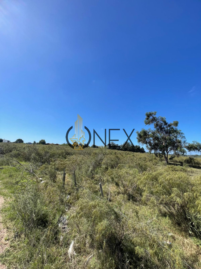 Terreno ID.4308 - Venta de 4 Terrenos ruta 39. Maldonado