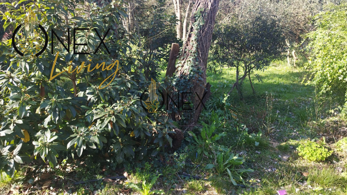 Terreno ID.3805 - VENTA TERRENO, CAMINO MANGANGA