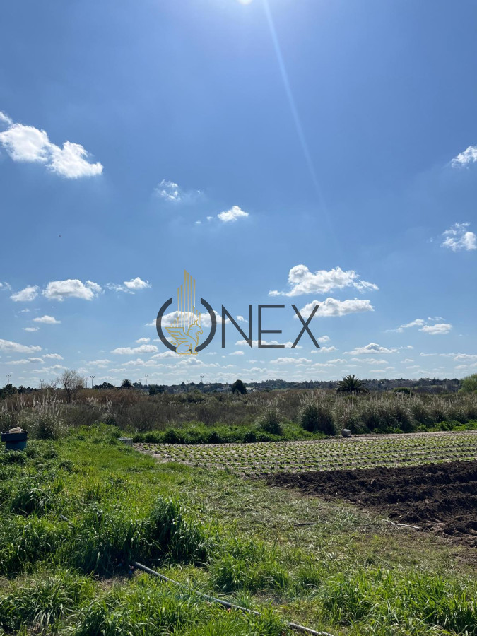 Terreno ID.1273 - SE VENDE TERRENO BARRIOS PRIVADOS CANELONES. A METROS CAMINO DE LOS HORNEROS 
