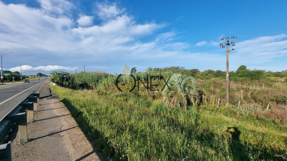 Terreno ID.2029 - Vendo terreno sobre Ruta 9, Rocha.