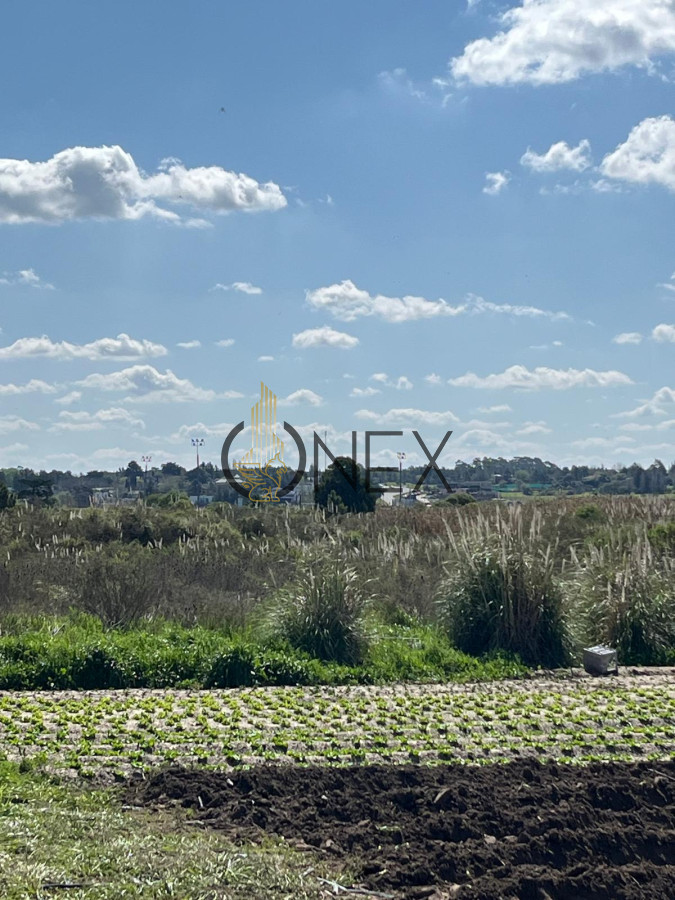Terreno ID.1273 - SE VENDE TERRENO BARRIOS PRIVADOS CANELONES. A METROS CAMINO DE LOS HORNEROS 