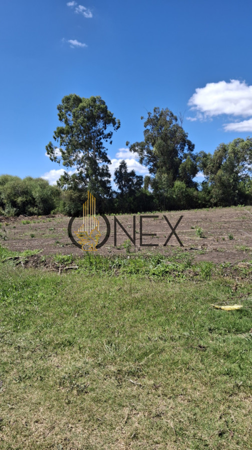 Terreno ID.4240 - Se vende lote de terrenos en ciudad de Rocha.