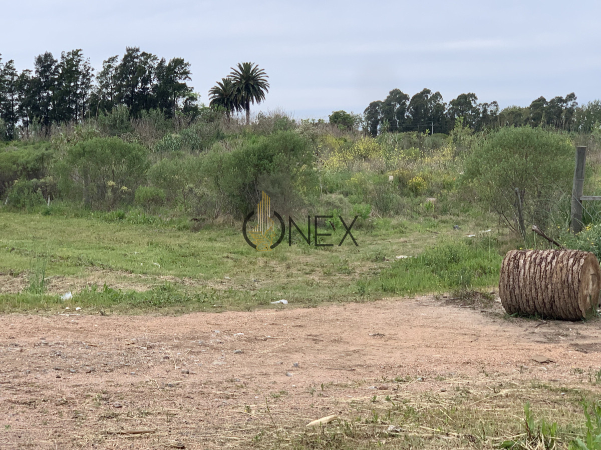 Terreno ID.1369 - Venta de Terrenos Ideales Para Galpones Logistica por Ruta 102