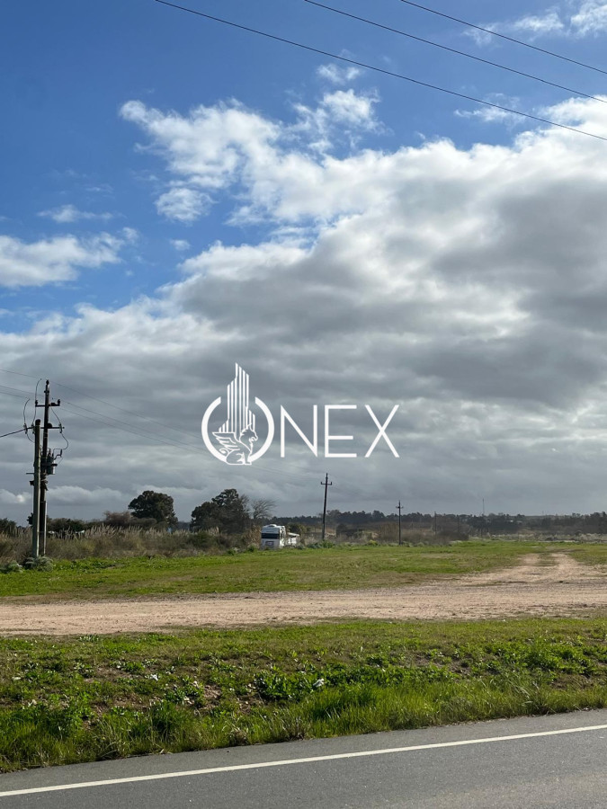 Terreno ID.1274 - SE VENDE TERRENO DE 16 HÁS ZONA BARRIOS PRIVADOS CANELONES 