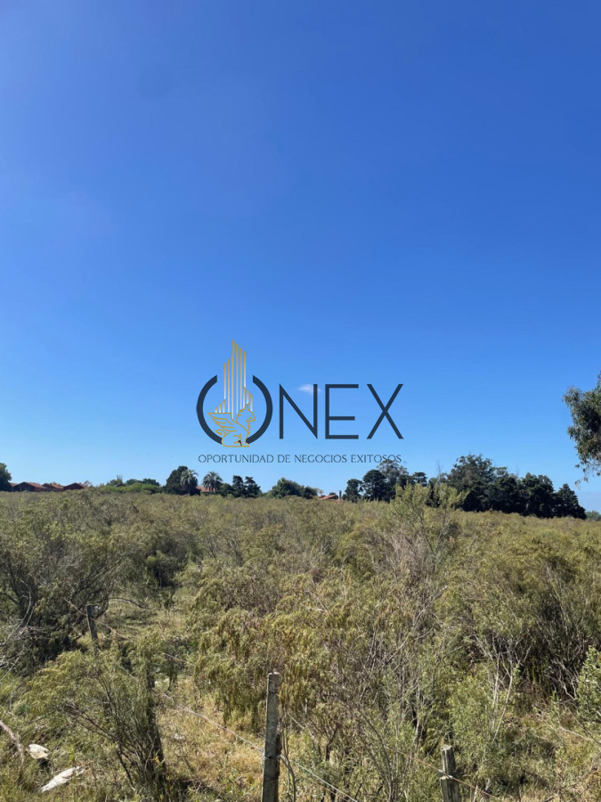 Terreno ID.4308 - Venta de 4 Terrenos ruta 39. Maldonado