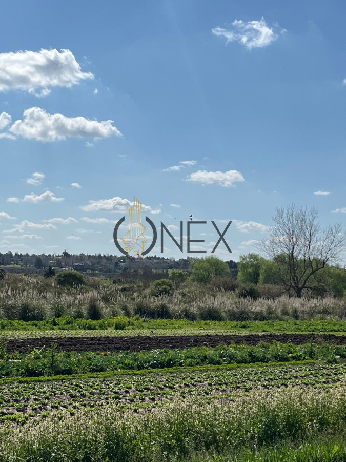 Terreno ID.1273 - SE VENDE TERRENO BARRIOS PRIVADOS CANELONES. A METROS CAMINO DE LOS HORNEROS 