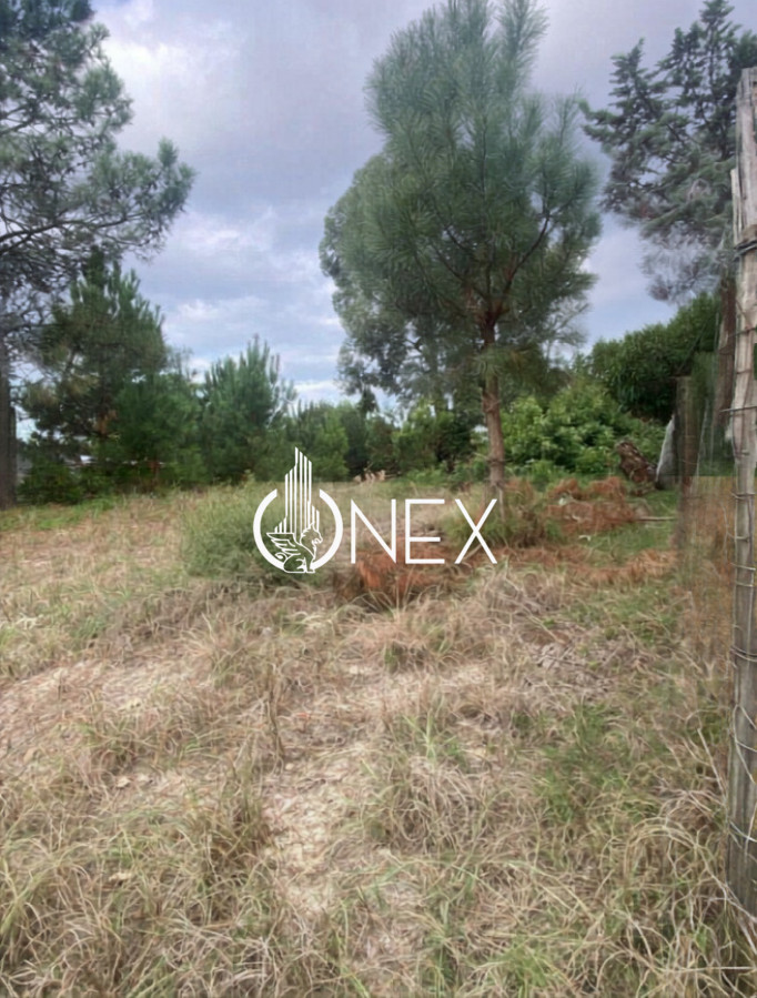 Terreno ID.4458 - Terreno Amplio en El Pinar